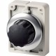 M30I-FWR-* 188182 Y7-188182 EATON ELECTRIC Selector switch actuators, flat front, with control knob, individ..
