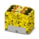 PTFIX 6X4-FE-G 3273942 PHOENIX CONTACT Distribution block