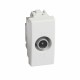 C4202P14 BTCINO LU-BASED TV INTERM 14DB 1M