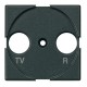 HS4212 BTCINO AX-FRONT TV/R-SAT 2M ANTR