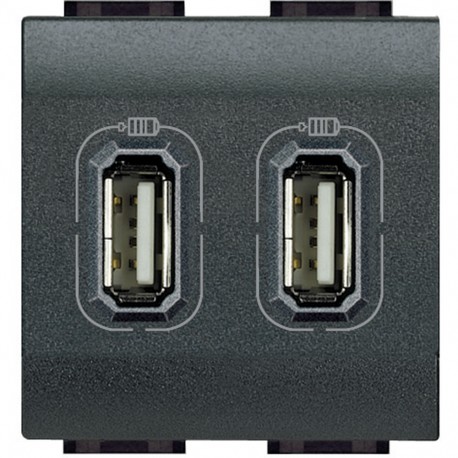 L4285C2 BTCINO ЛЛ-БАЗА USBA+2.4 А/5В 2М АНТР