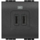 L4286C2 BTCINO LL-BASE-USB C+C, 3A/5V 2M ANTR