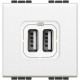 N4285C2 BTCINO LL-BASE USBA+2.4 A/5V 2M WHITE