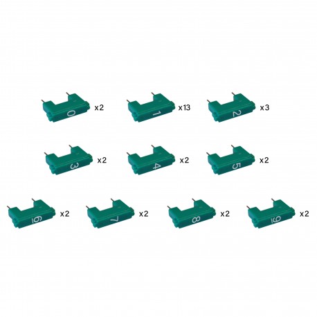 306065 BTCINO BT/2H-KIT-KONFIGURATION