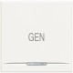 HD4915M2AC BTCINO AX KEY MH 2MOD GENE "WHITE"