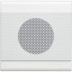 N4565 BTCINO SPEAKER RECESSED LIGHT 16 OHMS