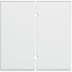 N4919 BTCINO SCS 2 KEYS LIGHT ARTL4572