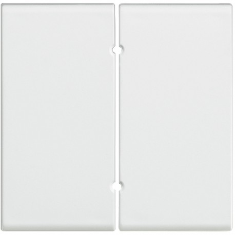 N4919 BTCINO SCS 2 CHIAVI DI LUCE ARTL4572