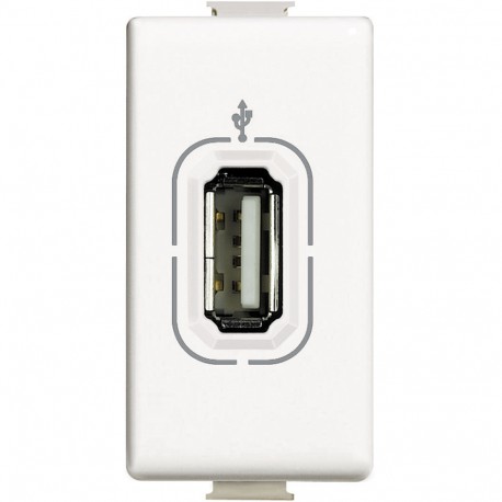 AM4285 BTCINO MX-BASE-DATI USB 1M BIANCO