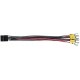 556511 MURRELEKTRONIK MASI00 CONNECTION CABLE
