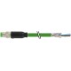 7000-08811-7913000 MURRELEKTRONIK M8 mas. 0° schermato cavo Ethercat